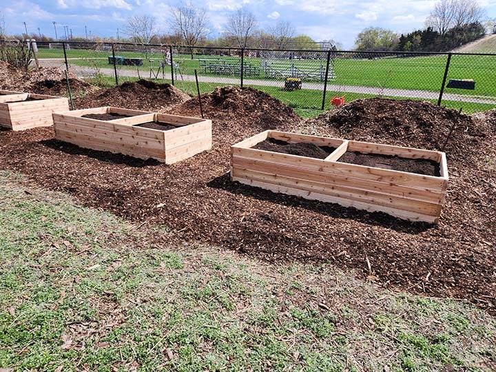 scout services - Copy